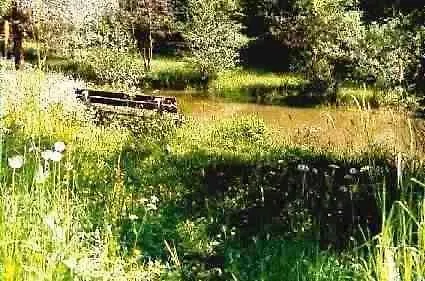 Im Grund Gæstehus Lennestadt