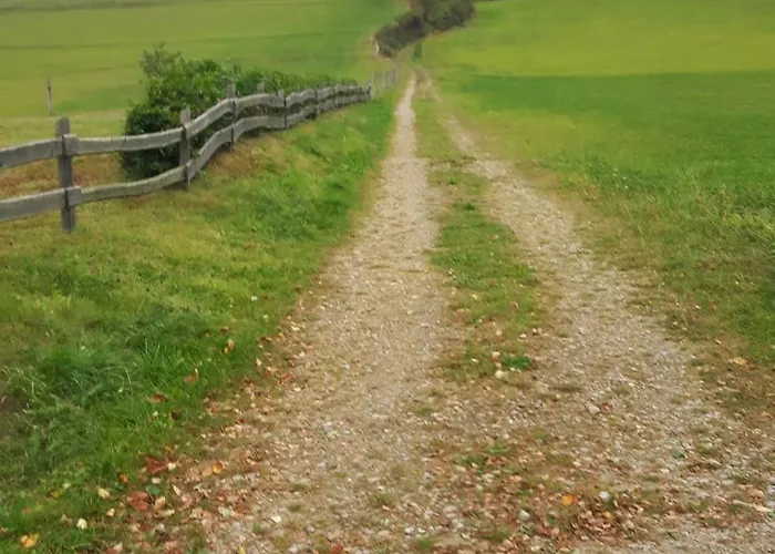 招待所 格伦德旅馆